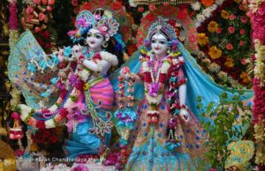 हर्षोंउल्लास के साथ मना चंद्रोदय मंदिर में राधाष्टमी महामहोत्सव