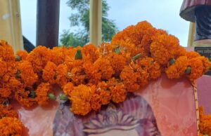 वीरांगना उदा देवी पासी का जन्मोत्सव धूमधाम से मनाया गया