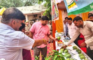 *दलहन, तिलहन एवं मोटे अनाज की उत्पादकता बढ़ाने पर दिया जोर-जिलाधिकारी